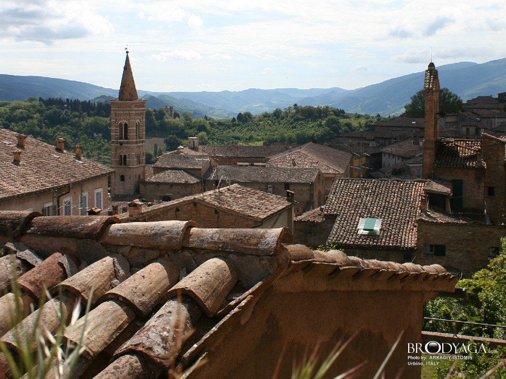Urbino